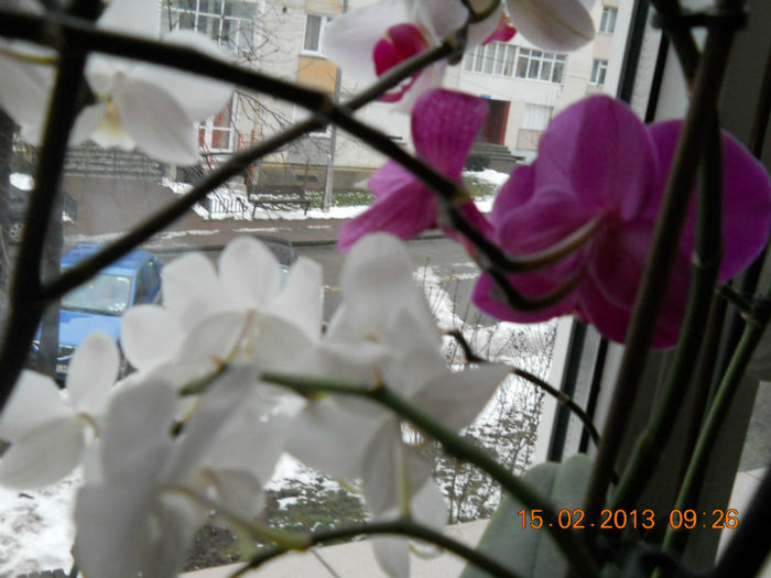 15.02.2013 053