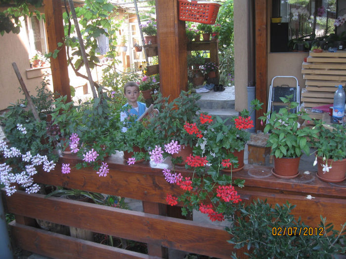 IMG_2682 - 1Gradina mea