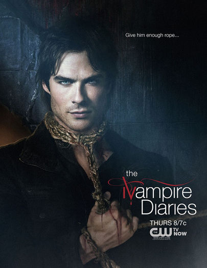 Damon Salvatore - The Vampire Diaries