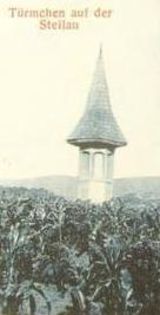 IMAGINE DIN ANUL 1913. - subalbum Turnuletul de La Chip din Sighisoara