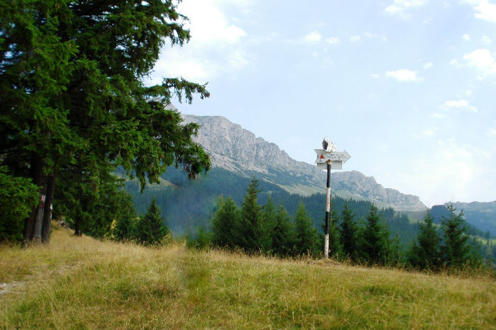 pan; bucegi munte peisaj
