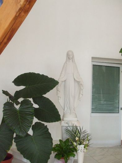Interior - Sarasau MM Biserica Greco-Catolica