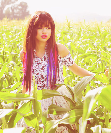 tumblr_m7j16tVu1E1r194o0o1_500_large