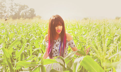 tumblr_m7jpkxUhdC1qimw92o1_500_large