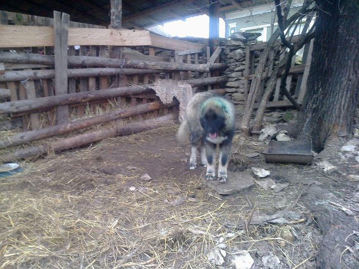 FĂ©nykĂ©p0632[1]