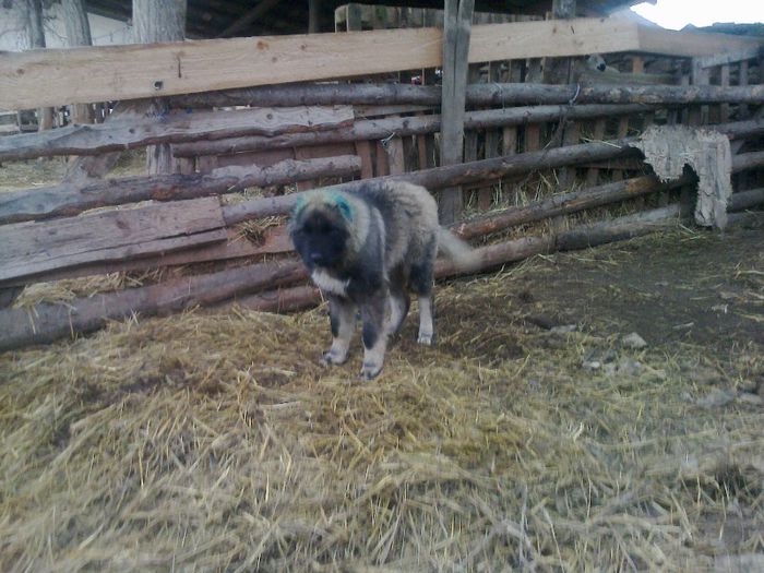 FĂ©nykĂ©p0633[1]