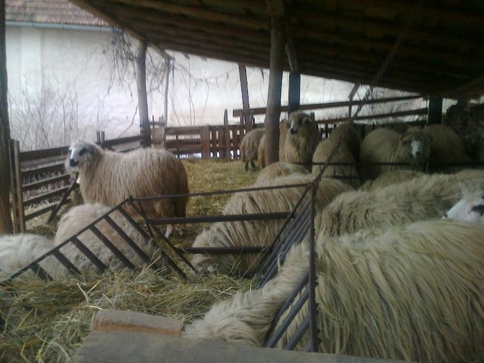 FĂ©nykĂ©p0624[1]