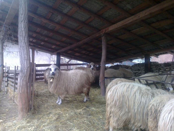 FĂ©nykĂ©p0626[1]