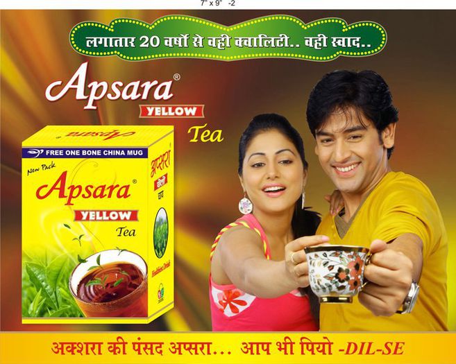 524989_534862626534170_1507357452_n - Hina Khan 2