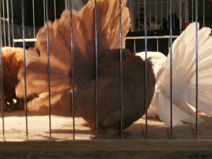 P2150075