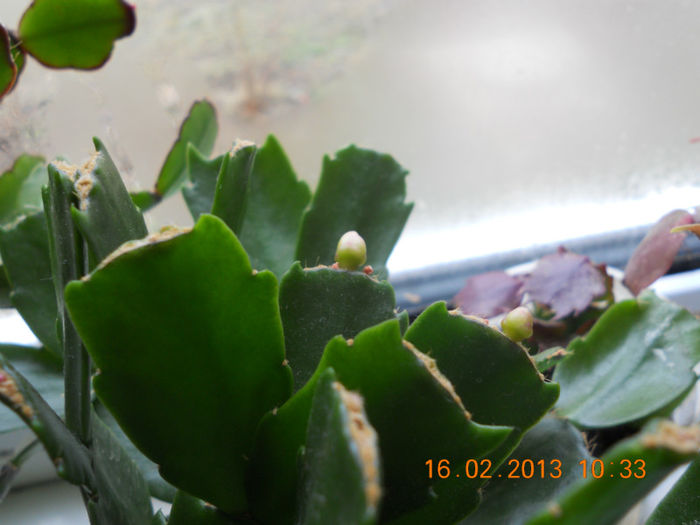 DSCN2640