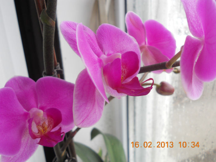 DSCN2642