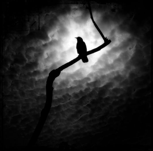 :`:La intrare...
