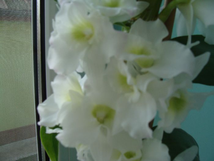 DSC02501