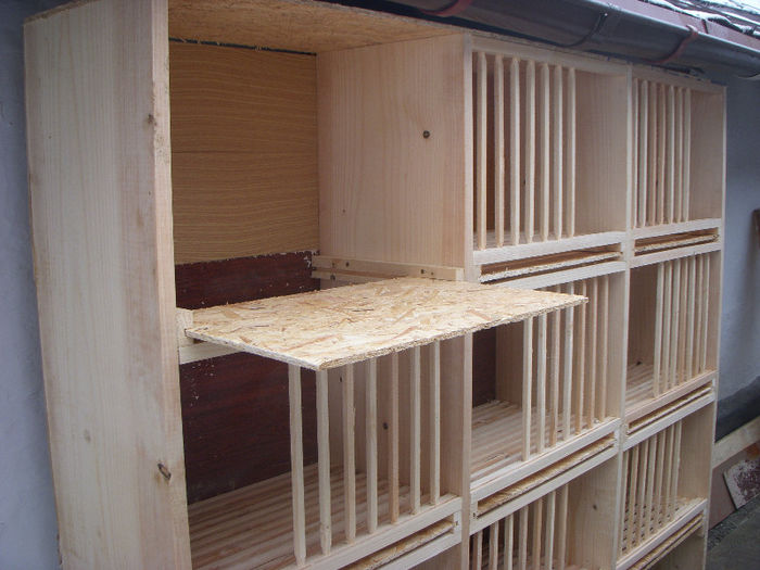 Picture 004 - Boxe porumbei matca in constructie