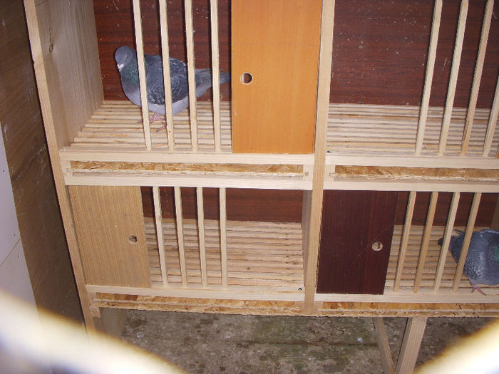 Picture 018 - Boxe porumbei matca terminate