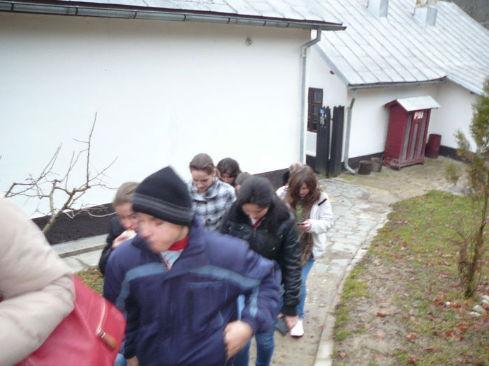 P1460973 - 2013 - Excursie_17_februarie