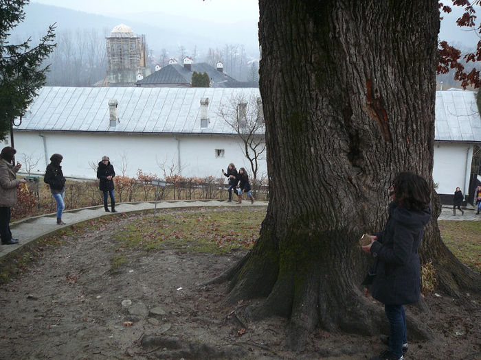 P1460975 - 2013 - Excursie_17_februarie