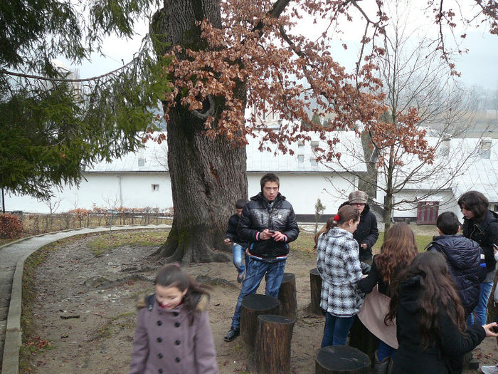 P1460983 - 2013 - Excursie_17_februarie