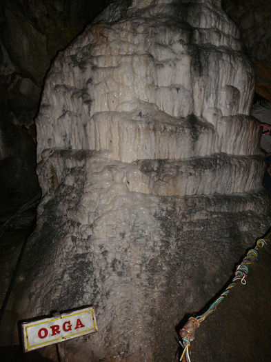 P1470038