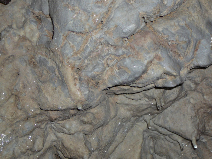 P1470049