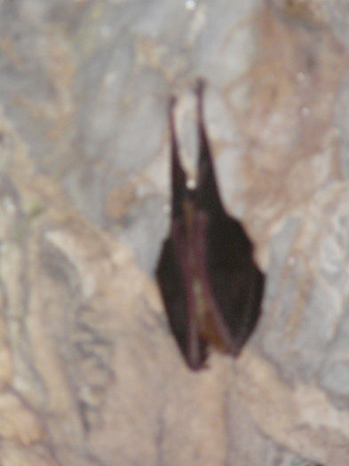 P1470051