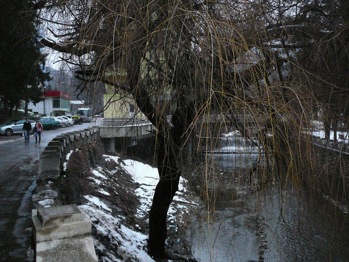 P1470135 - 2013 - Excursie_17_februarie