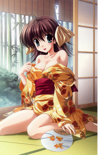 yande.re 194163 cleavage ef_~a_fairytale_of_the_two~ miyamura_miyako nanao_naru yukata