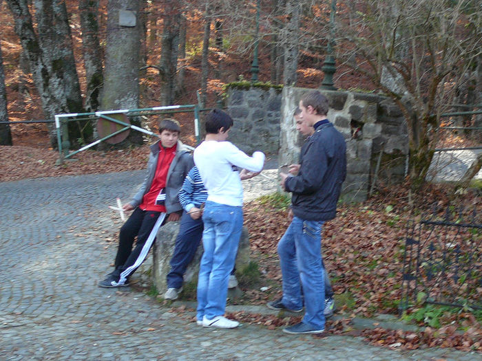 P1210447 - 2010 - Excursie_noiembrie