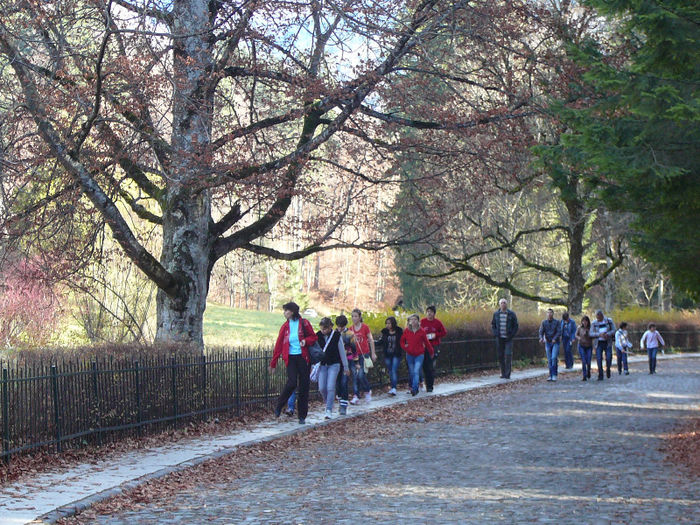 P1210449 - 2010 - Excursie_noiembrie