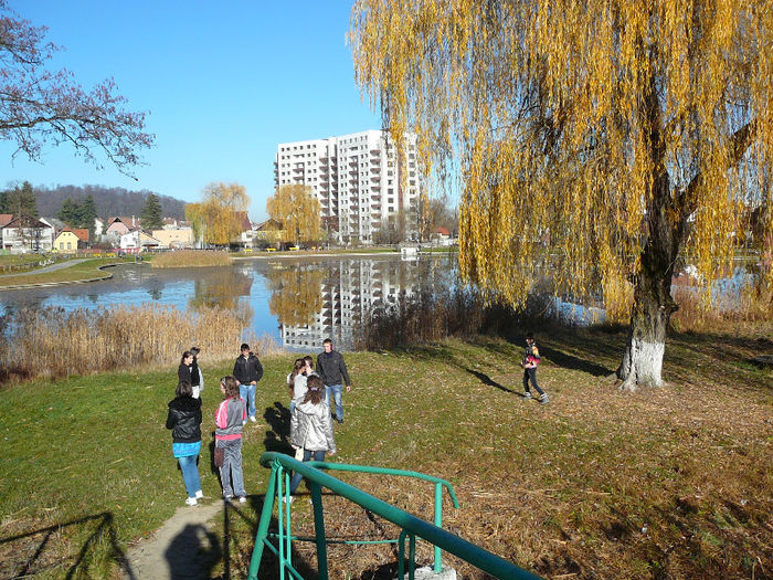 P1210564
