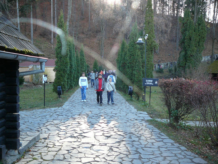 P1210631