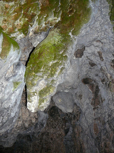 P1210649