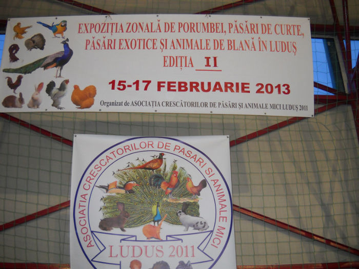 DSCN6259 - PASARI EXPO LUDUS 2013