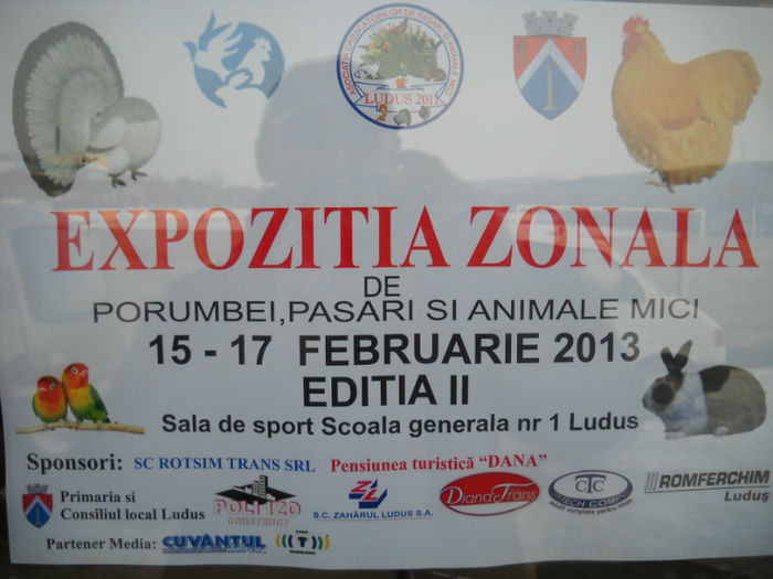 AFISUL EXPOZITIEI - EXPO LUDUS 2013