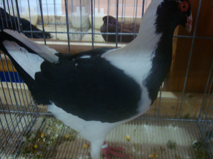 DSC01579
