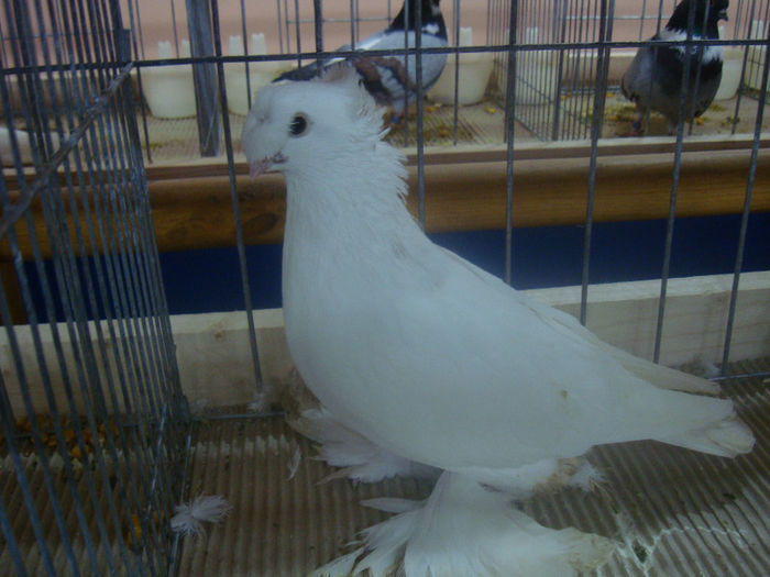 DSC01592