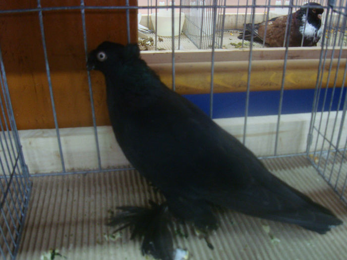 DSC01597