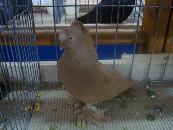 DSC01600