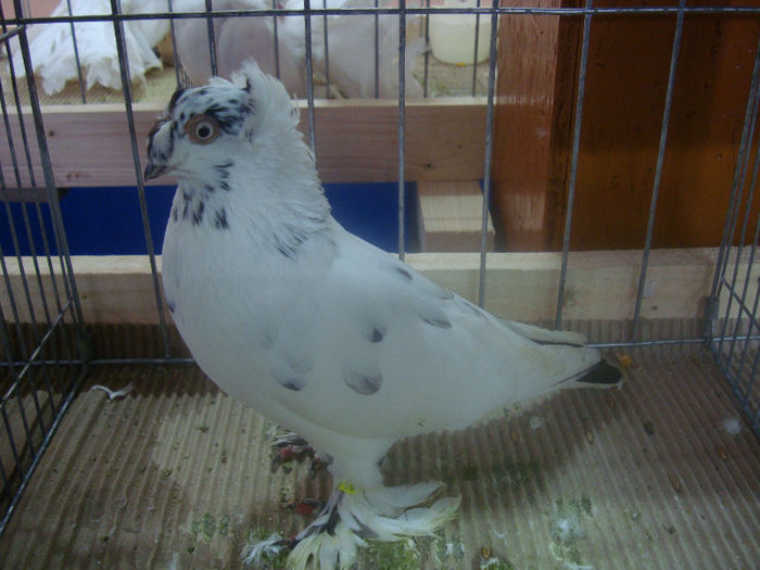 DSC01608