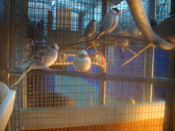 DSC01618