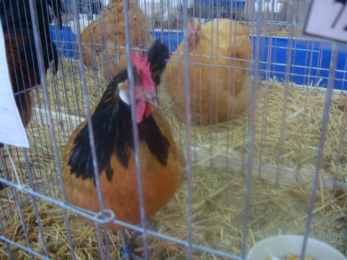 DSC01619
