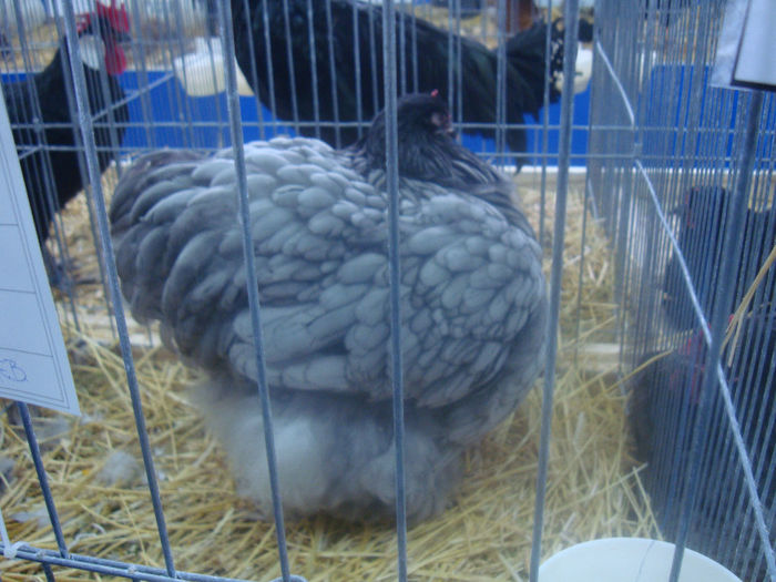 DSC01627