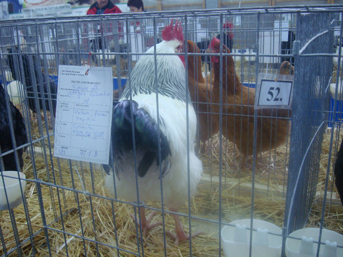 DSC01635