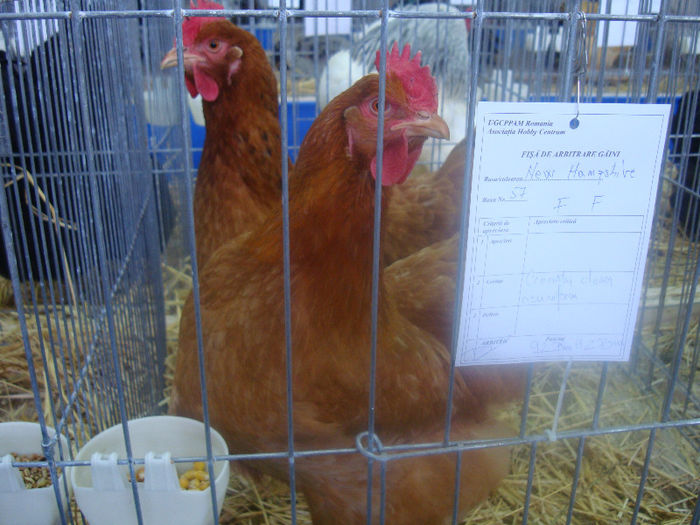 DSC01640