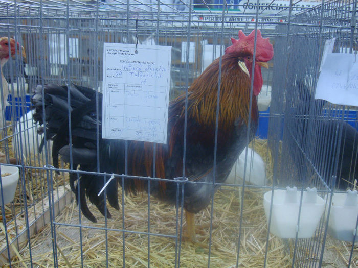 DSC01662