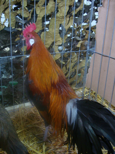 DSC01679