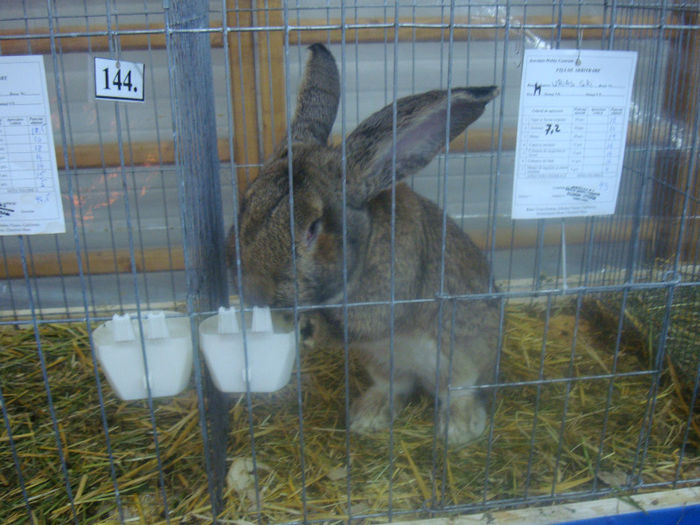 DSC01719