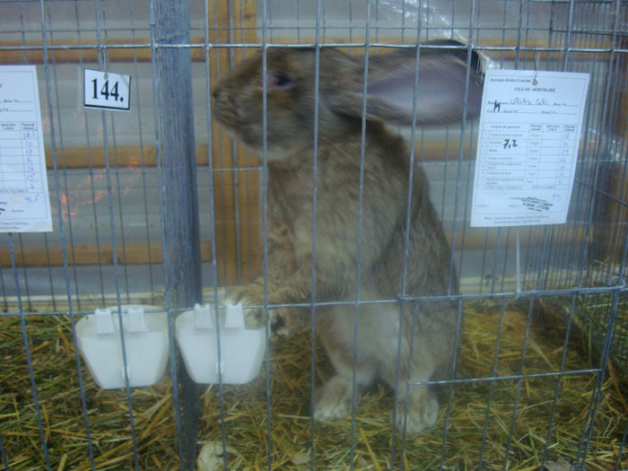 DSC01720