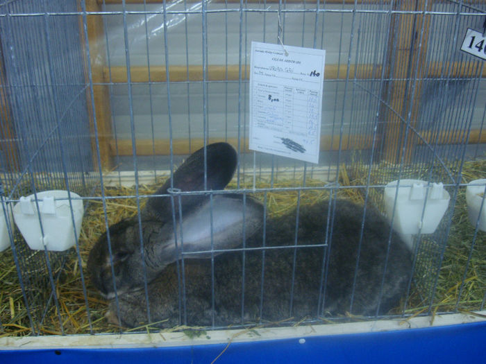 DSC01724